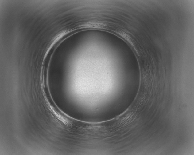 X0000052561131200507081629