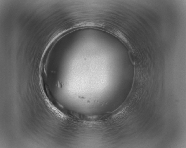 X0000052561132200507081629