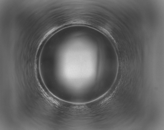 X0000052561133200507081629