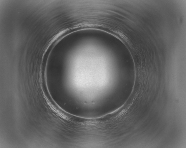 X0000052561134200507081629