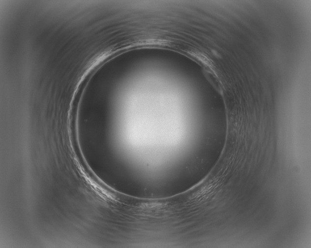 X0000052561135200507081629