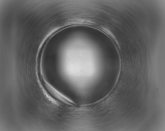 X0000052561136200507081629