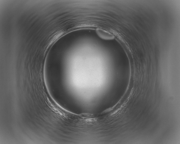 X0000052561137200507081629