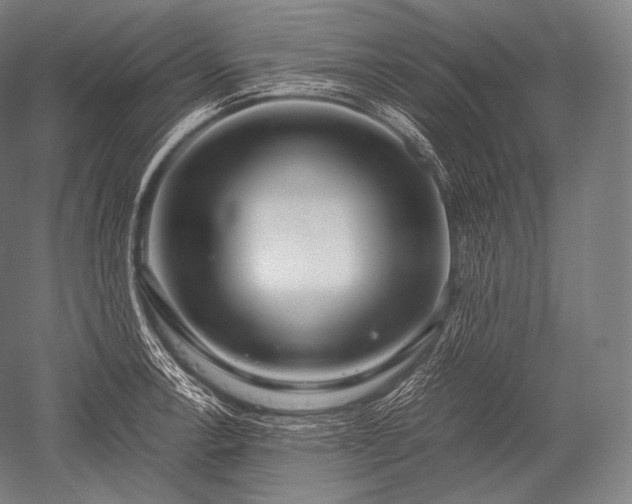 X0000052561138200507081629
