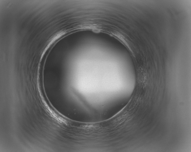 X0000052561139200507081629