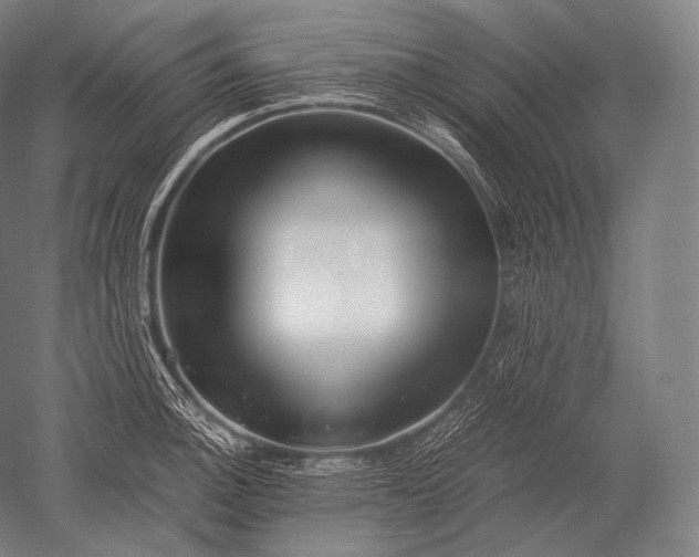 X0000052561140200507081629