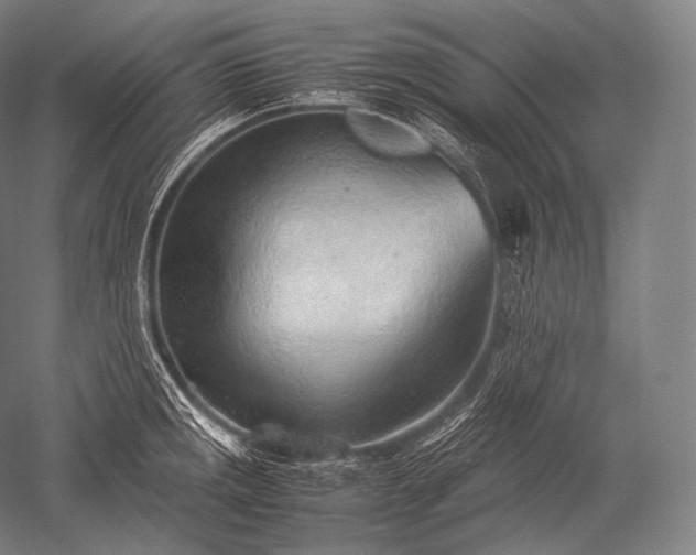 X0000052561141200507081629
