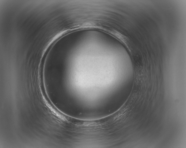 X0000052561142200507081629