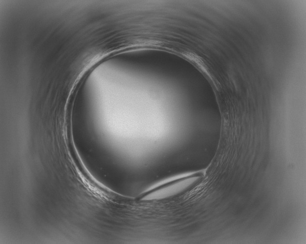 X0000052561143200507081629