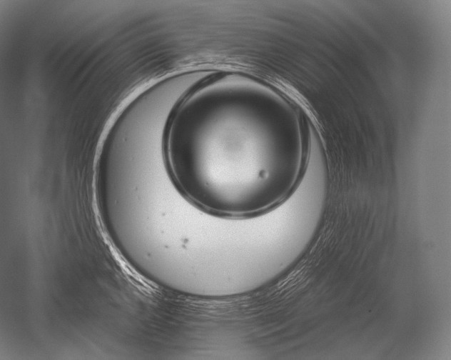 X0000052561144200507081629