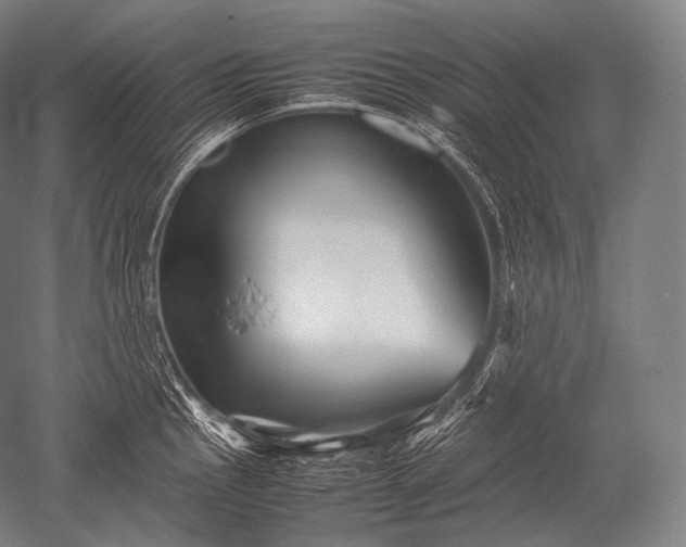 X0000052561145200507081629