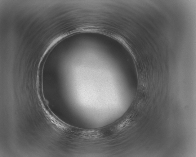 X0000052561147200507081629