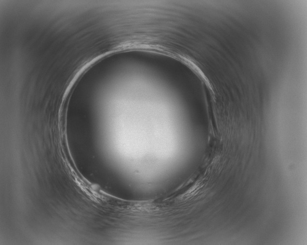 X0000052561148200507081629