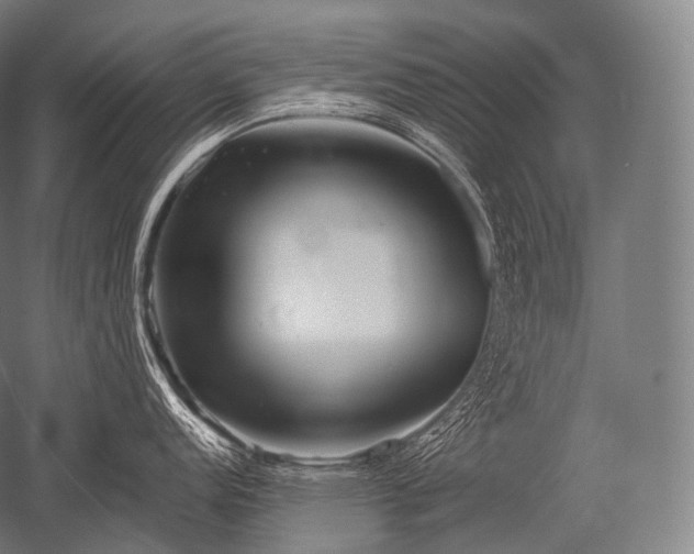 X0000052561152200507081629