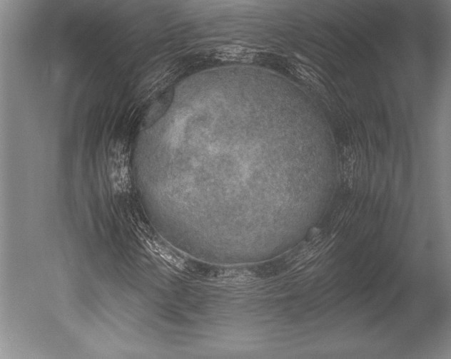 X0000052561154200507081628