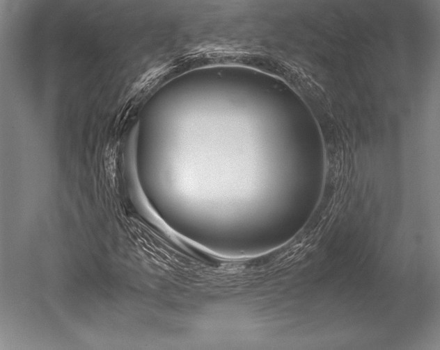 X0000052561157200507081628