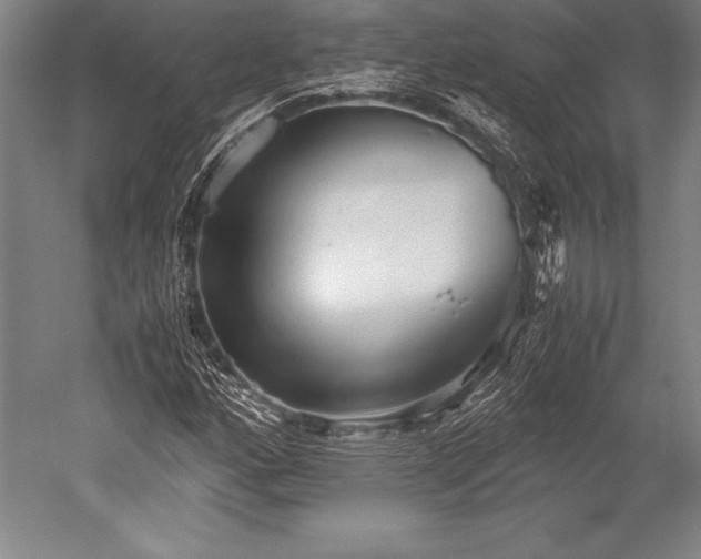 X0000052561160200507081628