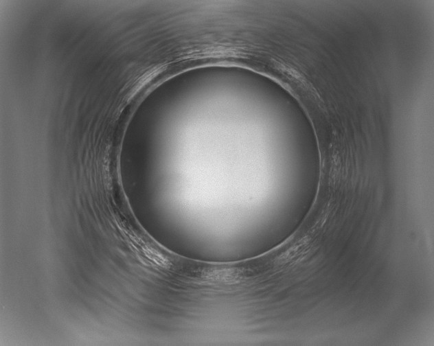 X0000052561162200507081628
