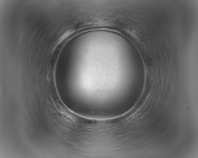 X0000052561163200507081628