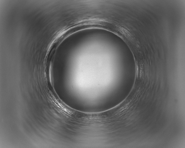 X0000052561164200507081628