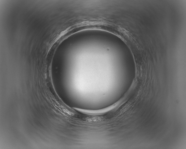 X0000052561165200507081628