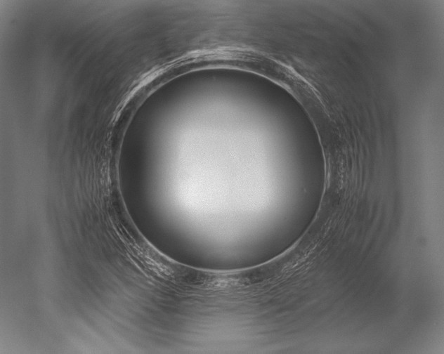 X0000052561166200507081628
