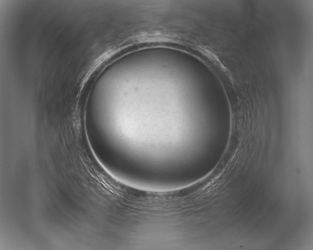 X0000052561167200507081628