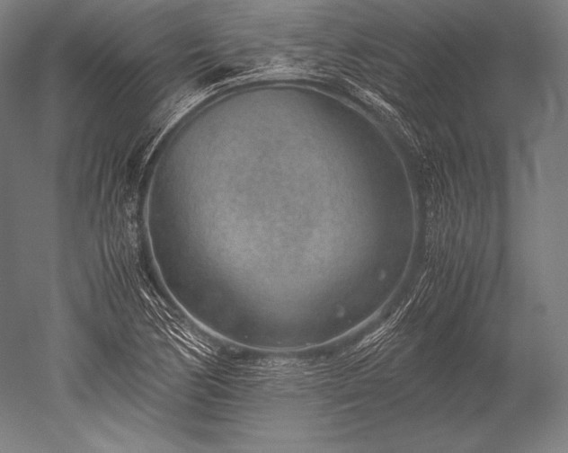X0000052561170200507081628