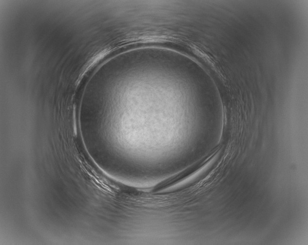 X0000052561171200507081628