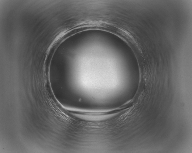 X0000052561172200507081628