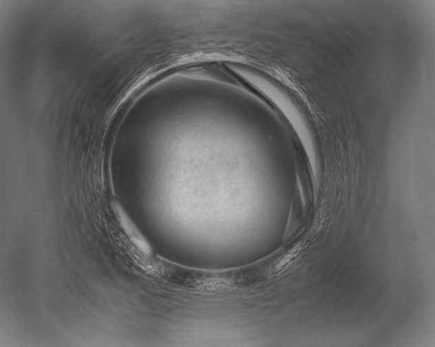 X0000052561173200507081628