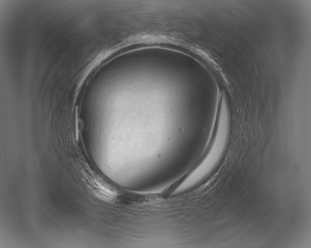 X0000052561175200507081628