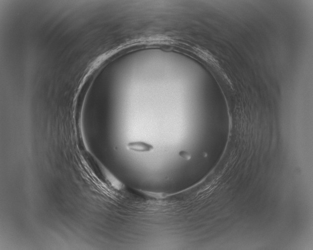 X0000052561176200507081628