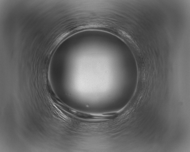 X0000052561177200507081628