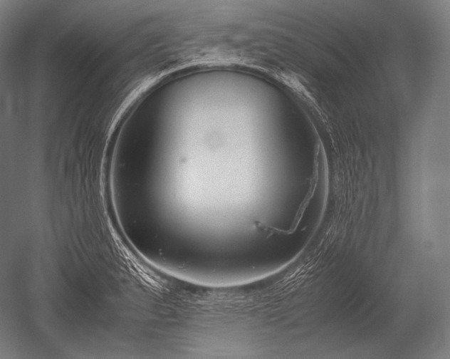 X0000052561183200507081628
