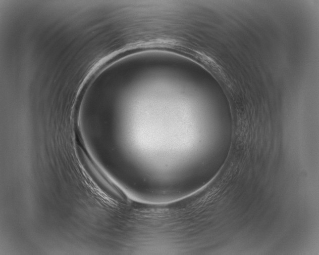 X0000052561184200507081628