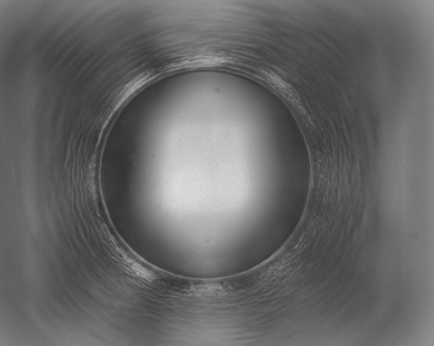 X0000052561186200507081627