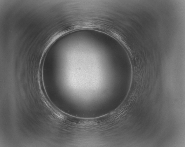 X0000052561187200507081627