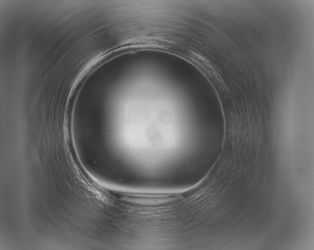 X0000052561188200507081627