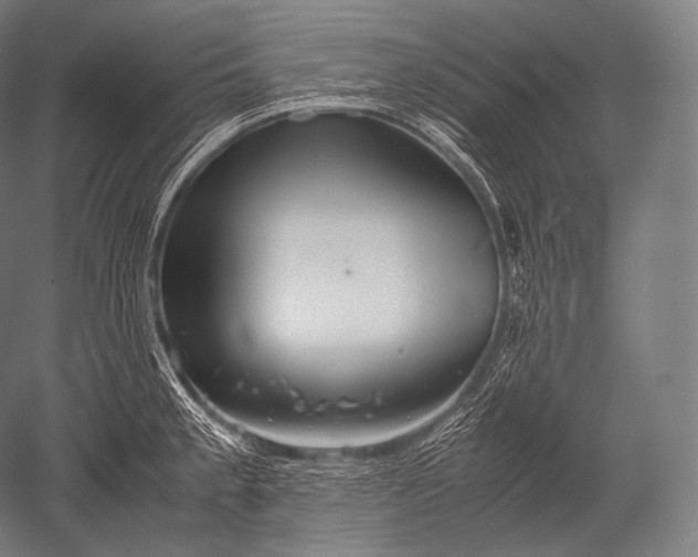 X0000052561189200507081627