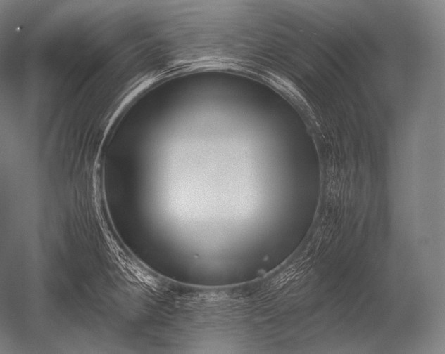 X0000052561190200507081627