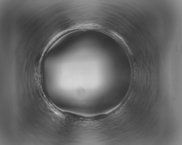 X0000052561192200507081627