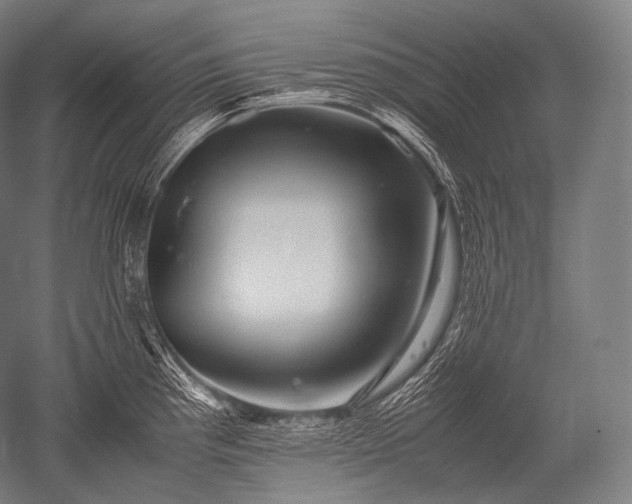 X0000052561193200507081627
