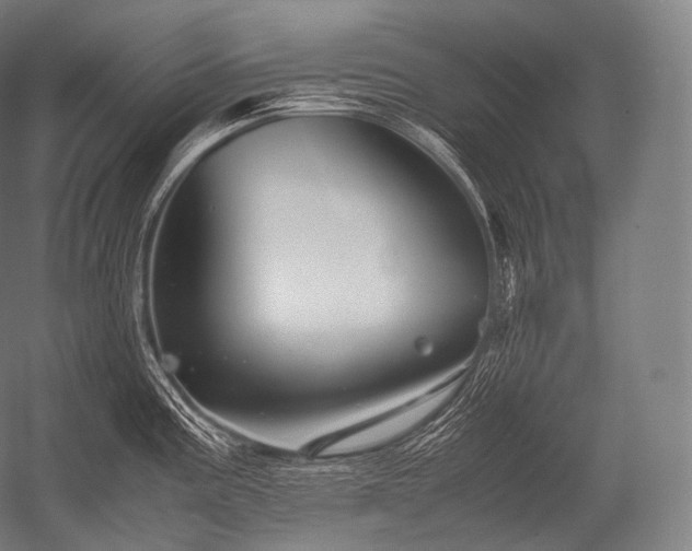 X0000052561195200507081627