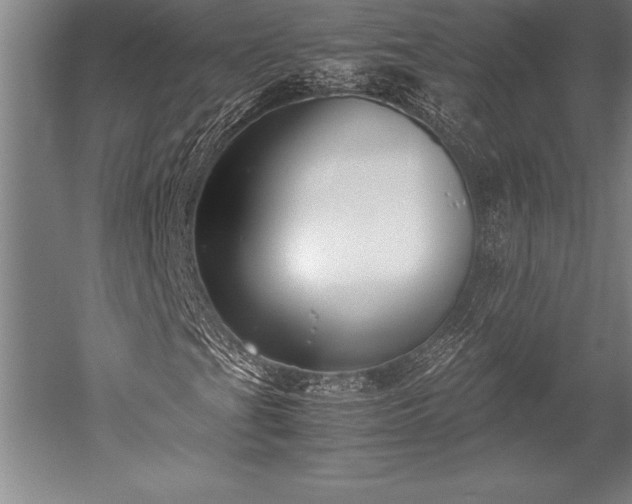 X0000052561201200507081626