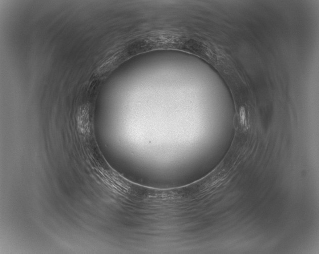 X0000052561203200507081626