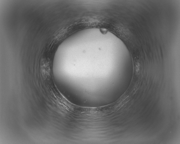 X0000052561204200507081626