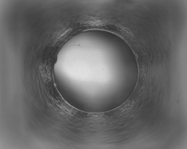 X0000052561205200507081627