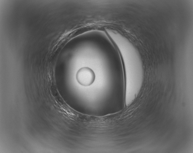 X0000052561206200507081627