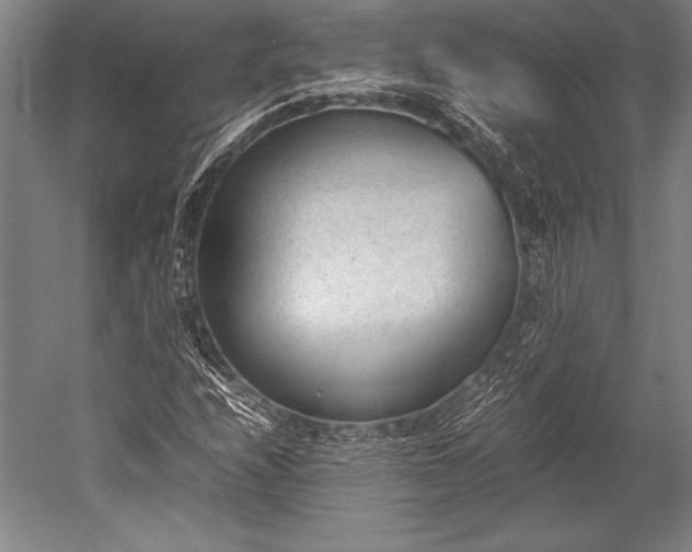 X0000052561208200507081627